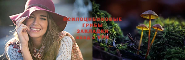 твердый Новокубанск