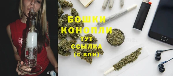 спиды Новозыбков