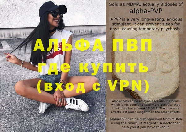 гашик Новодвинск