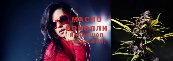 амф Надым