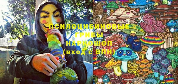 шишки Инта