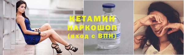 шишки Инта