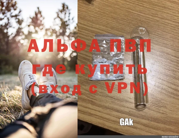 спиды Новозыбков