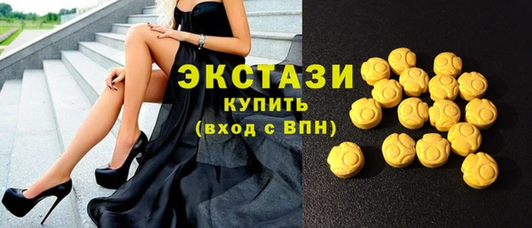 гашик Новодвинск