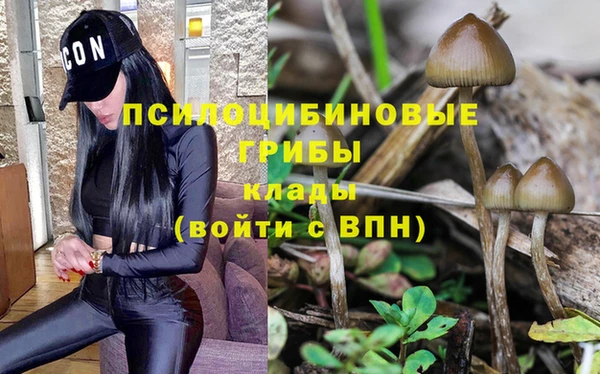 эйфоретик Нефтегорск