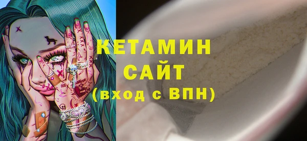 шишки Инта