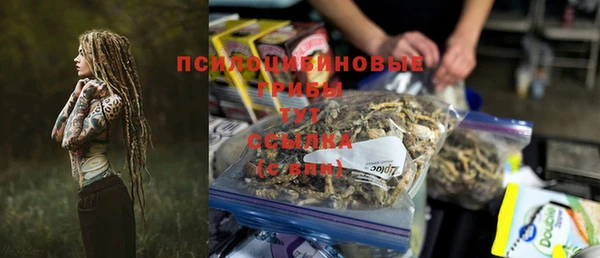 гашик Новодвинск