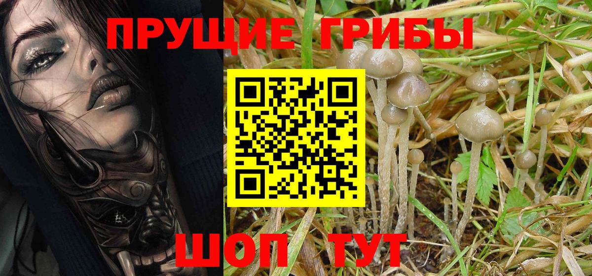 Псилоцибиновые грибы мухоморы Изобильный